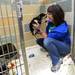 Animal Care Technician Mary Zuk smiles as she plays with a puppy after cleaning up the cages at the Humane Society of Huron Valley on Friday, March 1, 2013. Melanie Maxwell I AnnArbor.com